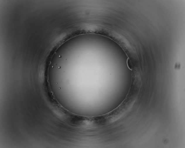 X0000103440496200809121407