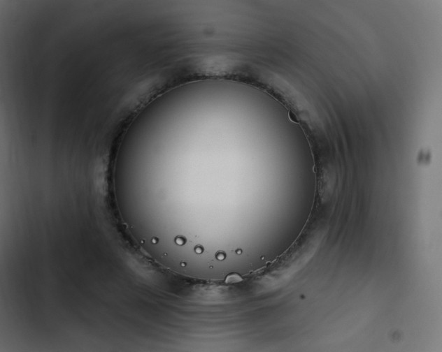 X0000103440497200809121407