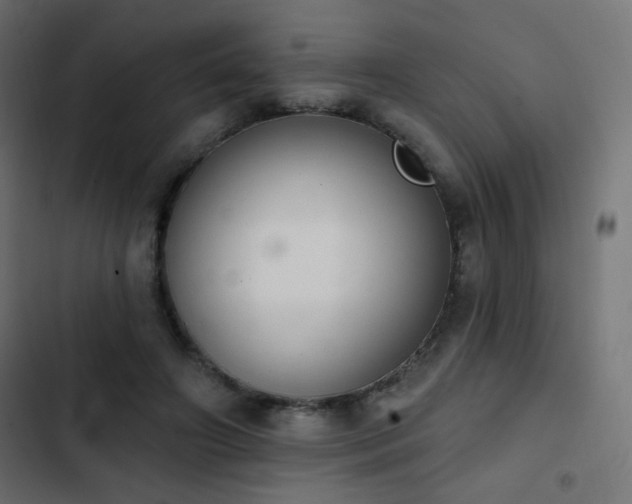 X0000103440498200809121407