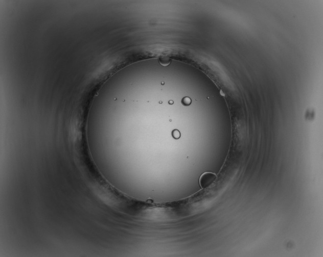 X0000103440499200809121407