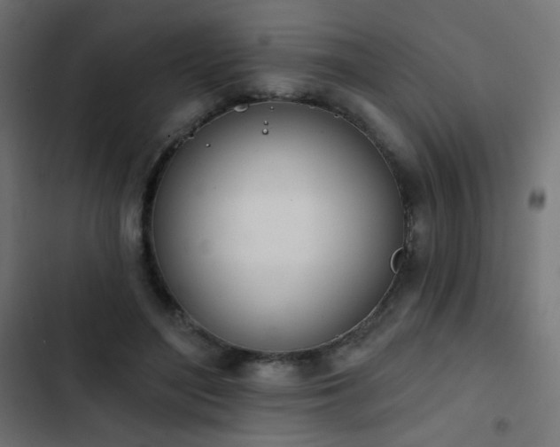 X0000103440500200809121407