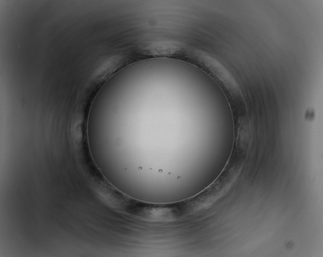 X0000103440501200809121407