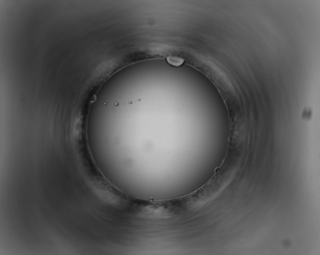 X0000103440502200809121407