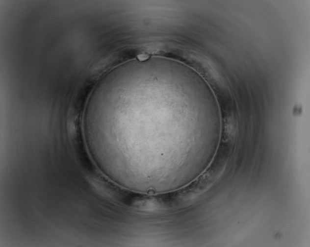 X0000103440503200809121406