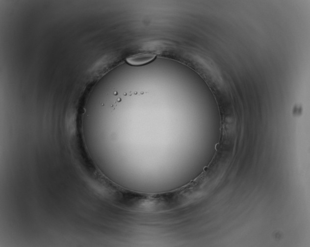 X0000103440504200809121406