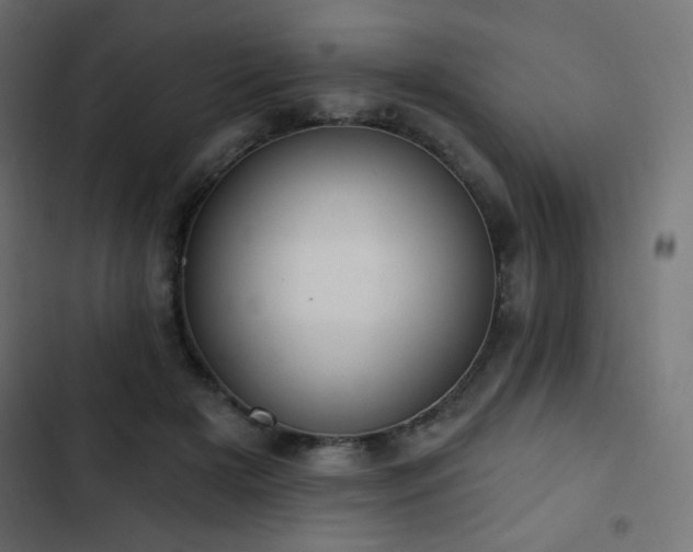 X0000103440505200809121406