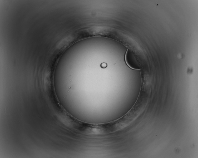 X0000103440506200809121406
