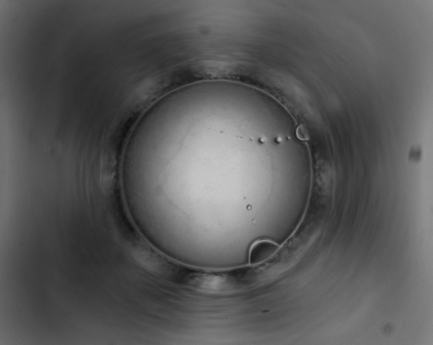 X0000103440507200809121406