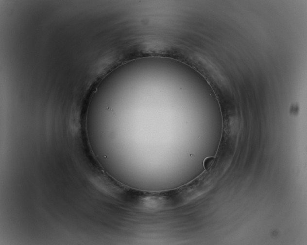 X0000103440508200809121406