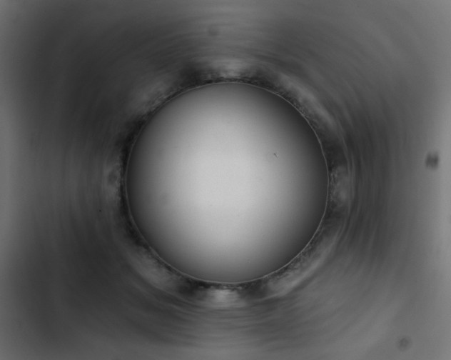 X0000103440509200809121406