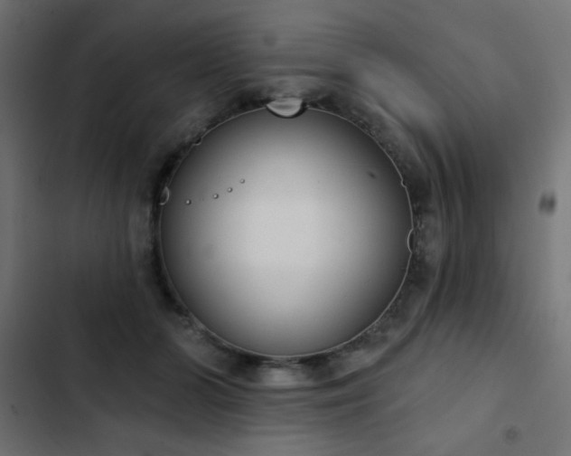 X0000103440510200809121406