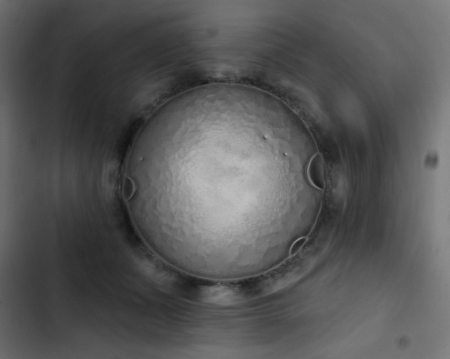 X0000103440511200809121406