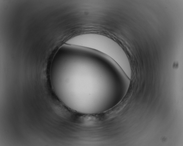 X0000103440512200809121406