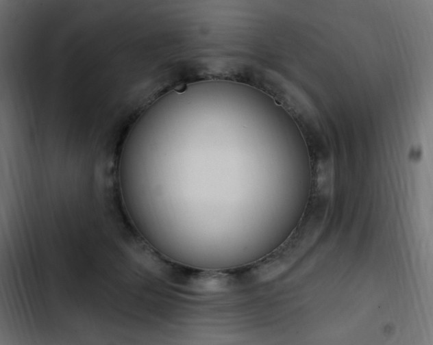 X0000103440514200809121406