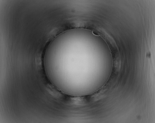 X0000103440516200809121406