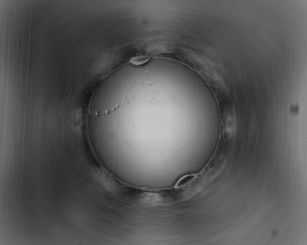 X0000103440519200809121406