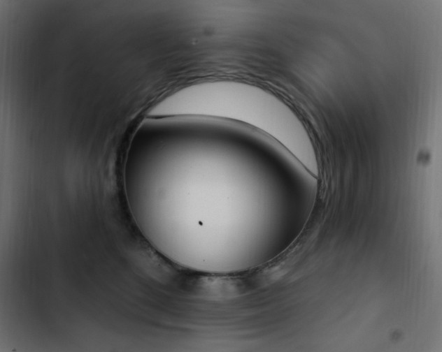 X0000103440520200809121406