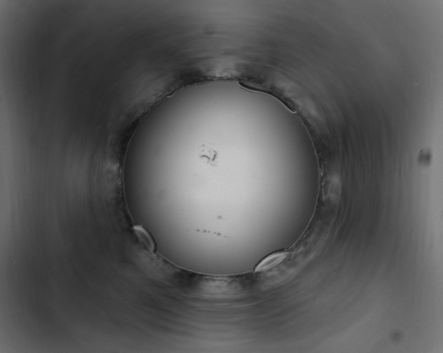 X0000103440521200809121406