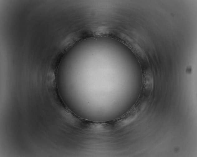 X0000103440523200809121406