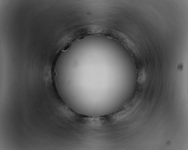 X0000103440524200809121406