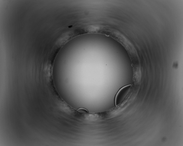 X0000103440525200809121406