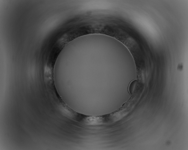 X0000103440526200809121406