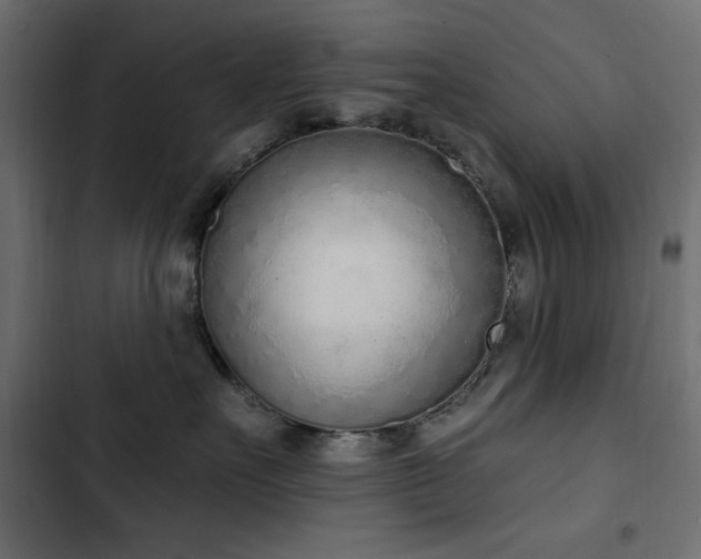 X0000103440527200809121406