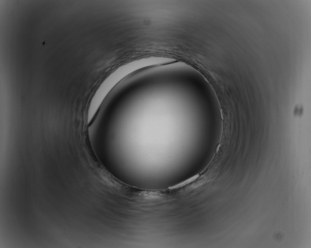 X0000103440528200809121406