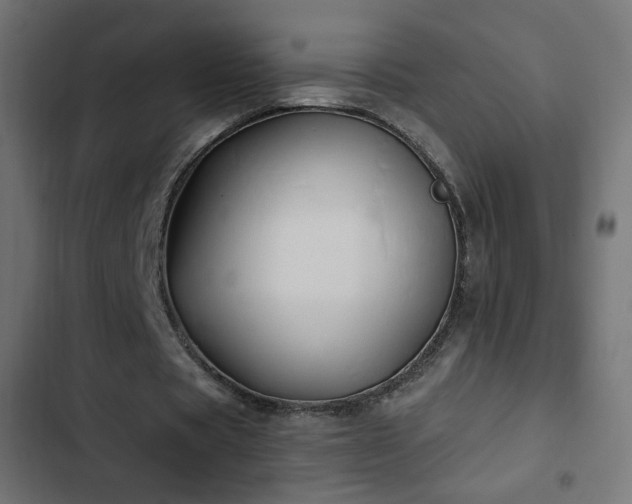 X0000103440529200809121405