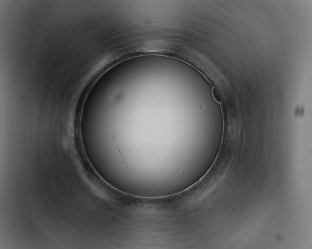 X0000103440530200809121405