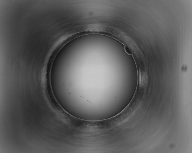 X0000103440531200809121405