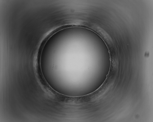 X0000103440532200809121405