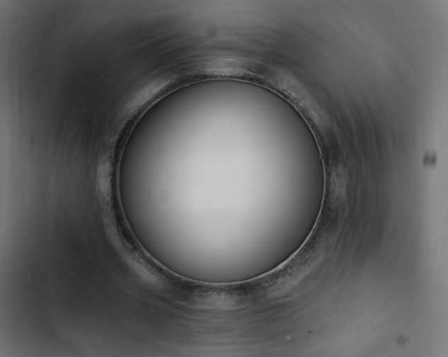 X0000103440533200809121405