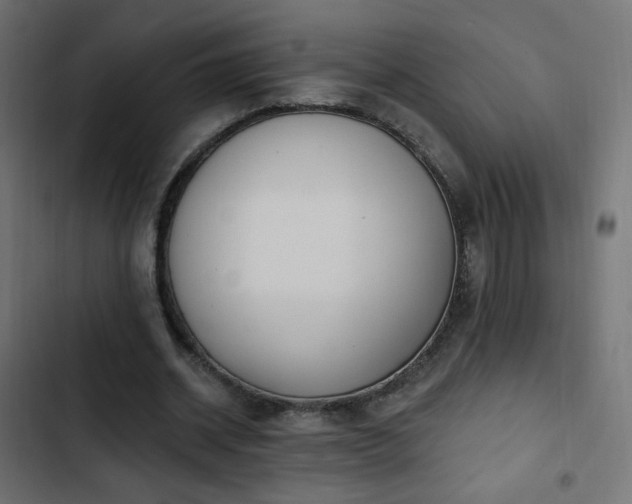 X0000103440534200809121405