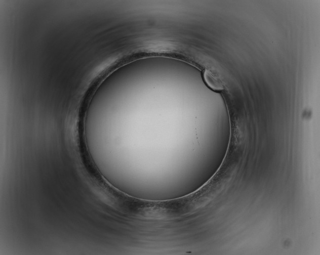 X0000103440535200809121405