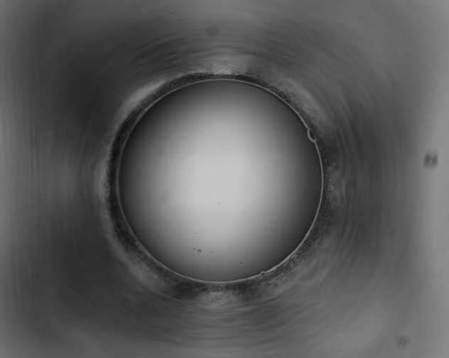 X0000103440536200809121405