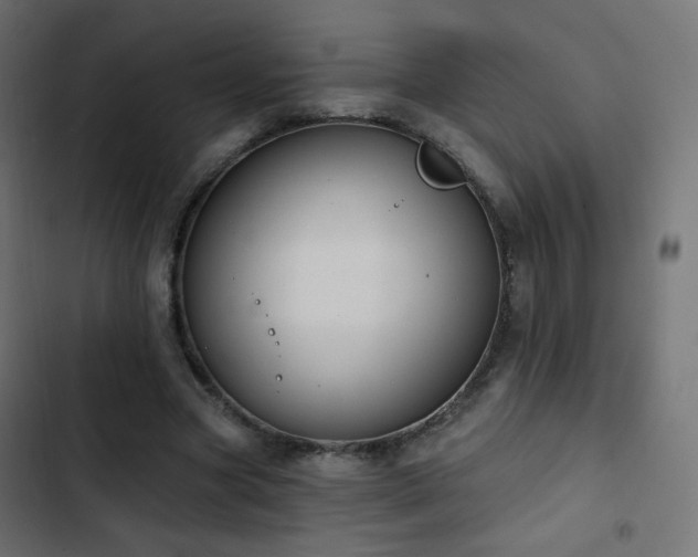 X0000103440537200809121405