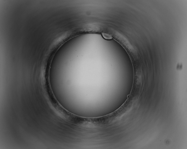 X0000103440538200809121405