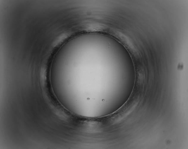 X0000103440539200809121405