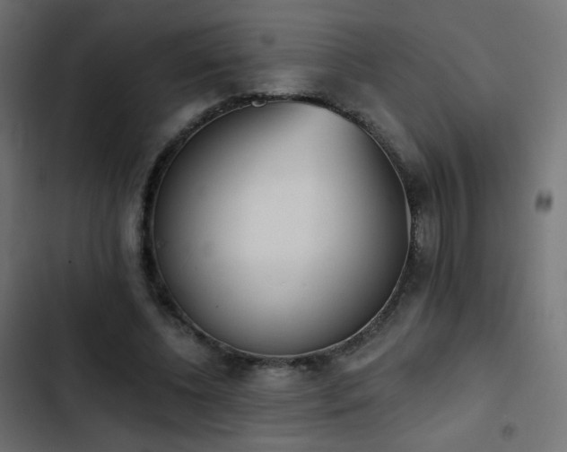 X0000103440540200809121405