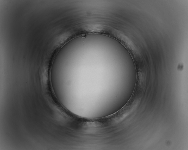 X0000103440541200809121405