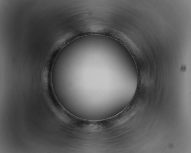 X0000103440542200809121406