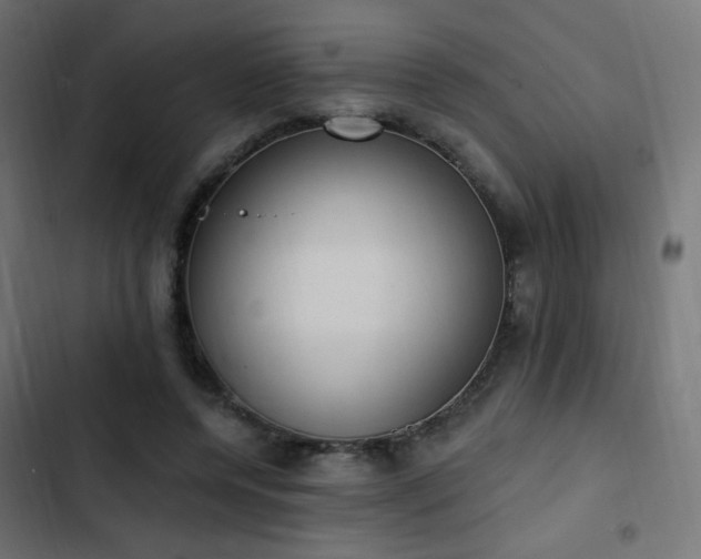X0000103440544200809121406