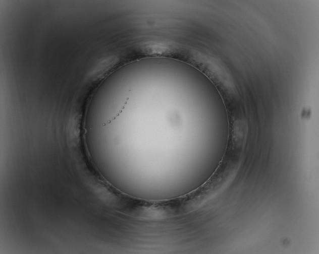 X0000103440545200809121406