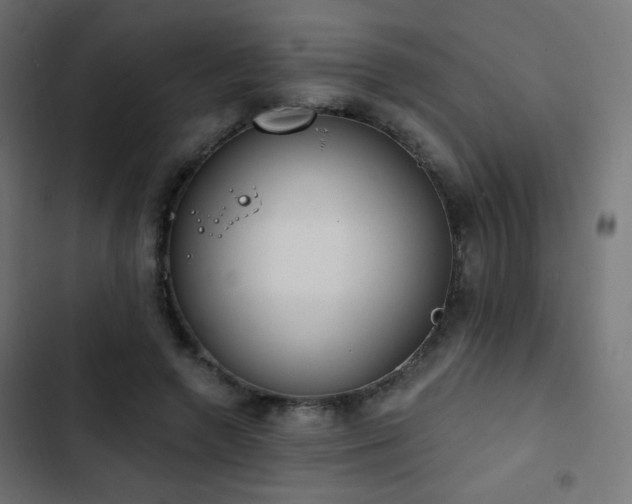 X0000103440546200809121406