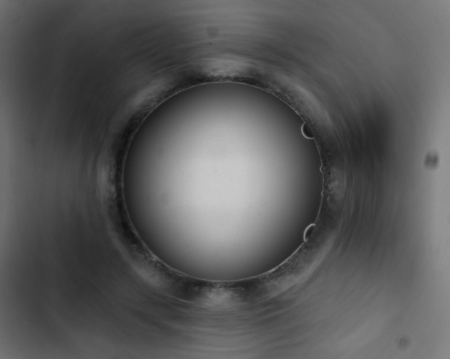 X0000103440547200809121406