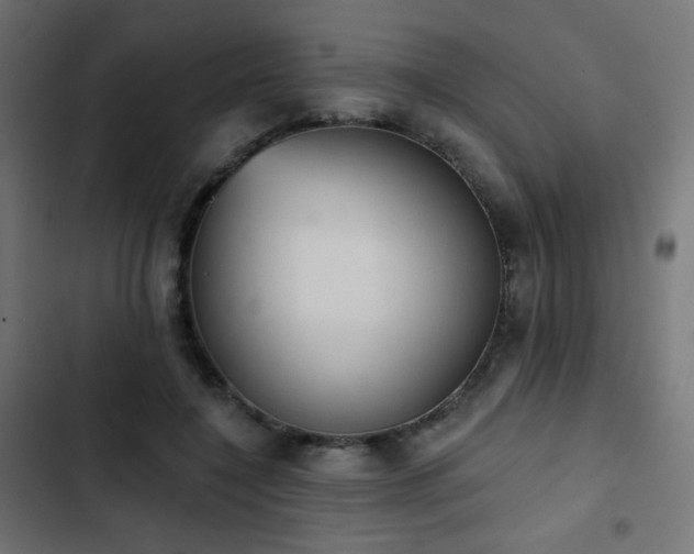 X0000103440548200809121406