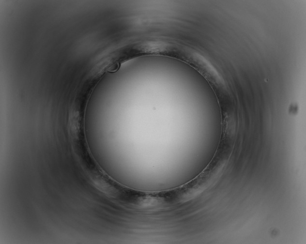 X0000103440549200809121406