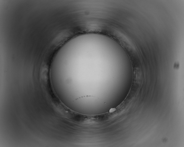 X0000103440550200809121406