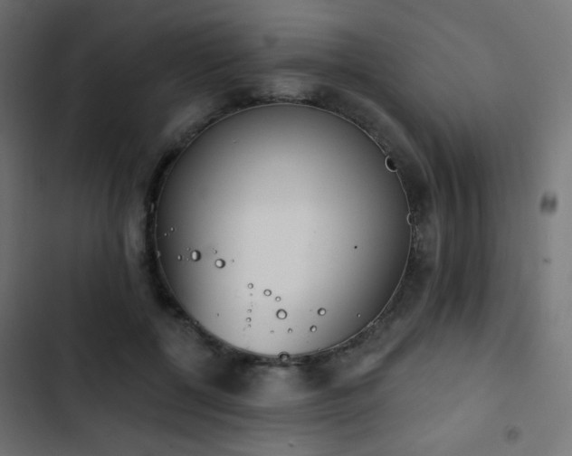 X0000103440552200809121406
